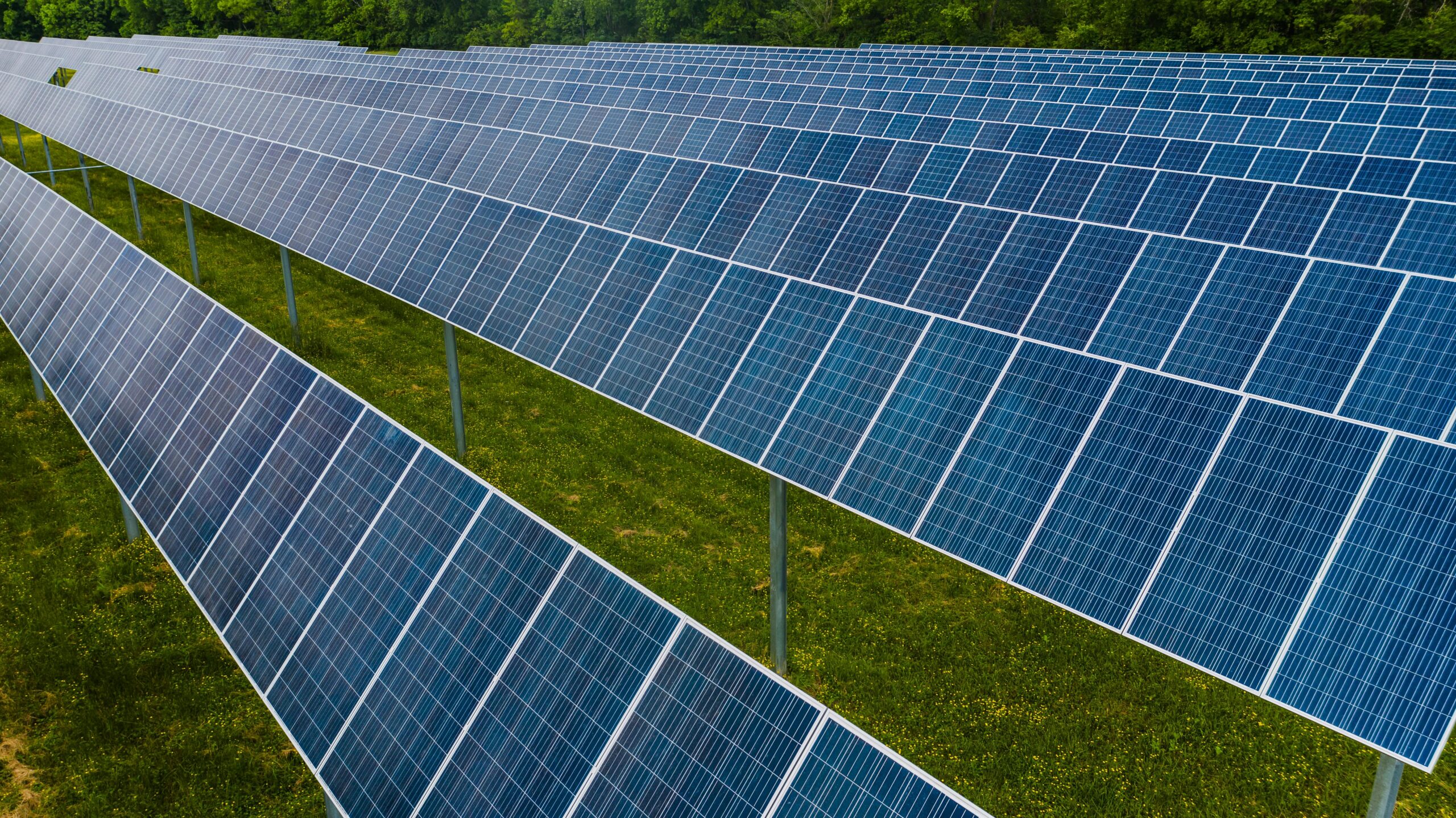 Aerial view of solar panels in a lush green field, showcasing renewable energy.